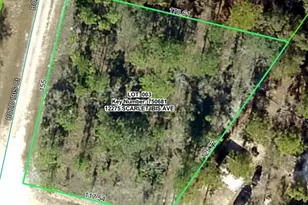 12275 Scarlet Ibis Ave, Weeki Wachee, FL 34614 - Photo 21