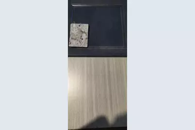 12275 Scarlet Ibis Avenue, Weeki Wachee, FL 34614 - Photo 3