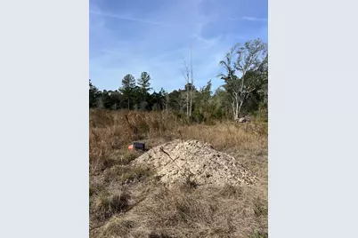 137th Place NE, Citra, FL 32113 - Photo 3