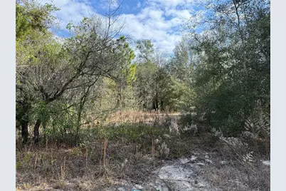 Se 92nd Court, Belleview, FL 34420 - Photo 5