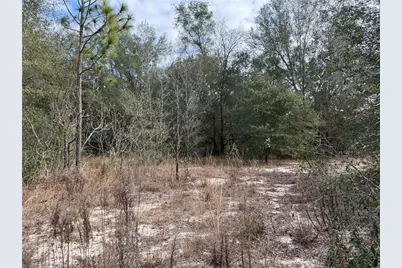 Se 92nd Court, Belleview, FL 34420 - Photo 9
