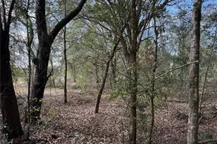 SE 92nd Ct, Belleview, FL 34420 - Photo 1