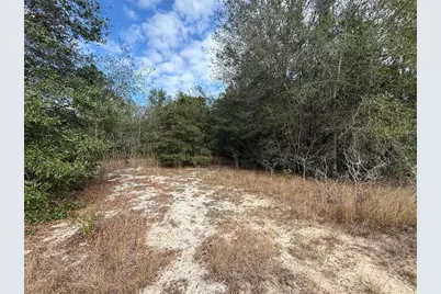 Se 92nd Court, Belleview, FL 34420 - Photo 5