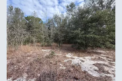 Se 92nd Court, Belleview, FL 34420 - Photo 9