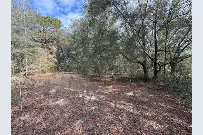 Se 92nd Court, Belleview, FL 34420 - Photo 9