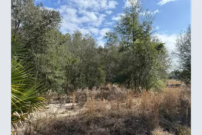 Se 92nd Court, Belleview, FL 34420 - Photo 13