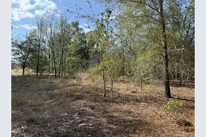 Se 92nd Court, Belleview, FL 34420 - Photo 3