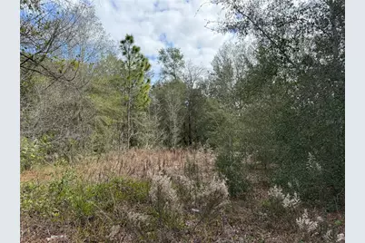 Se 92nd Court, Belleview, FL 34420 - Photo 3