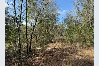 Se 92nd Court, Belleview, FL 34420 - Photo 5