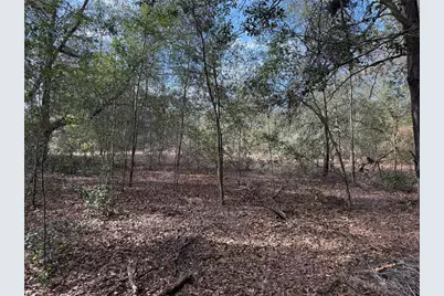 Se 92nd Court, Belleview, FL 34420 - Photo 1