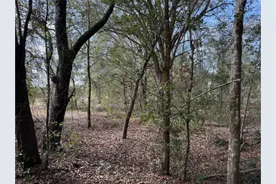 Se 92nd Court, Belleview, FL 34420 - Photo 9