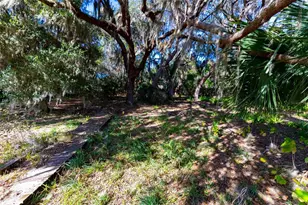 24971 NE 135th St, Salt Springs, FL 32134 - Photo 13