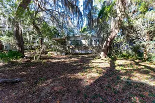 24971 NE 135th St, Salt Springs, FL 32134 - Photo 19