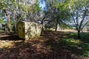 24971 NE 135th St, Salt Springs, FL 32134 - Photo 3