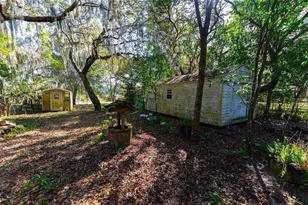 24971 NE 135th St, Salt Springs, FL 32134 - Photo 25