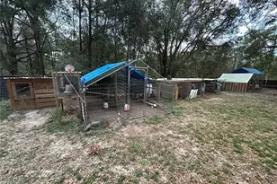 10095 SE 162nd Ct, Ocklawaha, FL 32179 - Photo 13