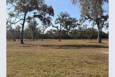 Tbd NW 160th Street, Reddick, FL 32686 - Photo 1