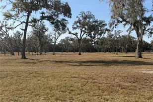 Tbd NW 160th St, Reddick, FL 32686 - Photo 1