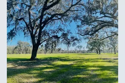 Tbd NW 160th Street, Reddick, FL 32686 - Photo 3