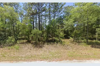 1110 NW Redwood Drive, Dunnellon, FL 34431 - Photo 1