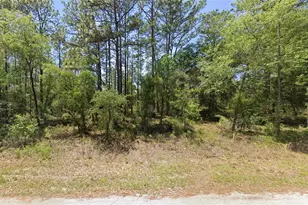 1110 NW Redwood Dr, Dunnellon, FL 34431 - Photo 1