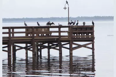 618 Orchid Drive, Indian Lake Estates, FL 33855 - Photo 15