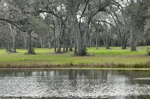 Tbd NW 160th St, Reddick, FL 32686 - Photo 1