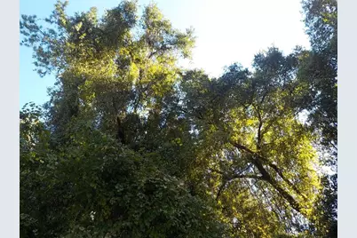 11641 N Kenlake Circle, Dunnellon, FL 34434 - Photo 5