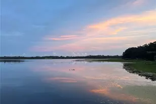 21373 SW Raintree St, Dunnellon, FL 34431 - Photo 33