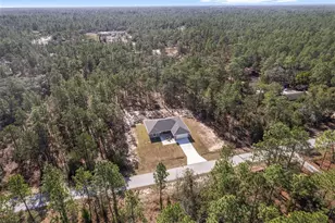 22160 SW Neptune Blvd, Dunnellon, FL 34431 - Photo 35