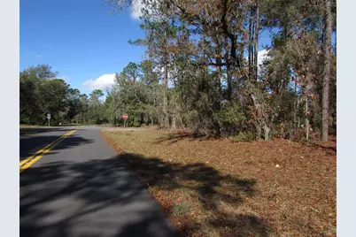 Lot 18 SW 156 Street, Ocala, FL 34473 - Photo 3