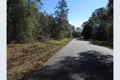 Lot 18 SW 156 Street, Ocala, FL 34473 - Photo 11