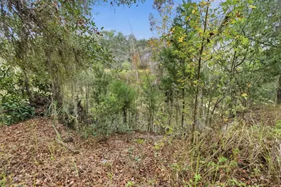 Lot 6 SE 107 Terrace, Summerfield, FL 34491 - Photo 11