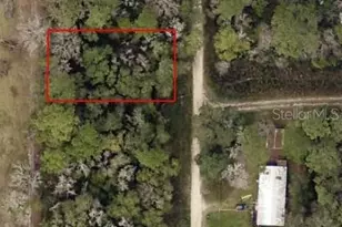 Tbd SW 134th Ct, Ocala, FL 34481 - Photo 1