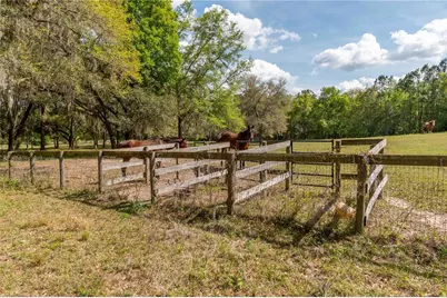 6124 NW 160th Street, Reddick, FL 32686 - Photo 21