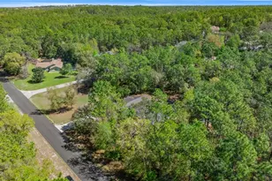 221 N Nashville Ave, Hernando, FL 34442 - Photo 35