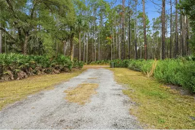 104 Ferncreek Drive, Georgetown, FL 32139 - Photo 41