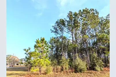 143 S Kensington Avenue, Lecanto, FL 34461 - Photo 5