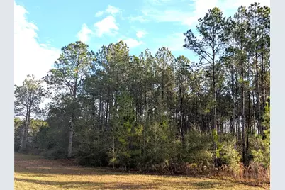 143 S Kensington Avenue, Lecanto, FL 34461 - Photo 1