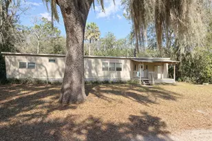 25215 NE 133rd St, Salt Springs, FL 32134 - Photo 1