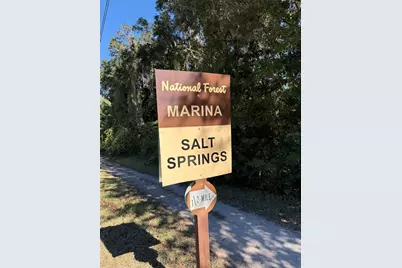 25215 NE 133rd Street, Salt Springs, FL 32134 - Photo 7