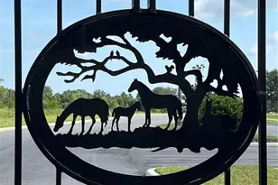 6474 SW 89th Loop, Ocala, FL 34476 - Photo 29