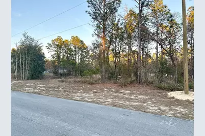 0 SW 88th Court, Ocala, FL 34473 - Photo 3