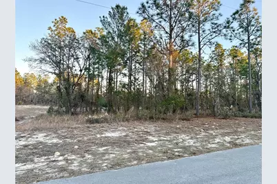 0 SW 88th Court, Ocala, FL 34473 - Photo 5