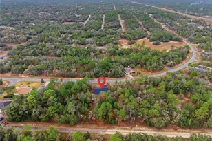 6515 N Bedstrow Blvd, Citrus Springs, FL 34434 - Photo 45