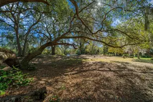 16731 SE 181st Terrace, Weirsdale, FL 32195 - Photo 39