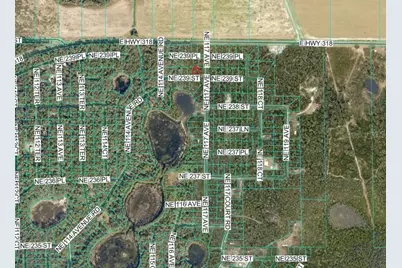 Ne 239th St, Fort Mc Coy, FL 32134 - Photo 3