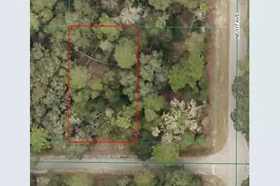 Ne 239th St, Fort Mc Coy, FL 32134 - Photo 1