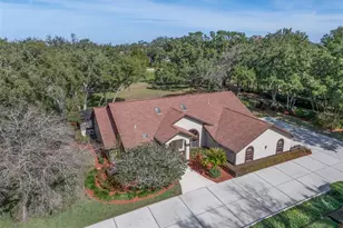 115 E Ireland Ct, Hernando, FL 34442 - Photo 47