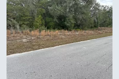 Sw Shorewood Drive, Dunnellon, FL 34431 - Photo 5